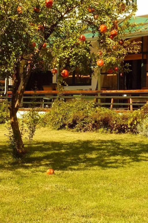Trogirsunset Apartments المظهر الخارجي الصورة